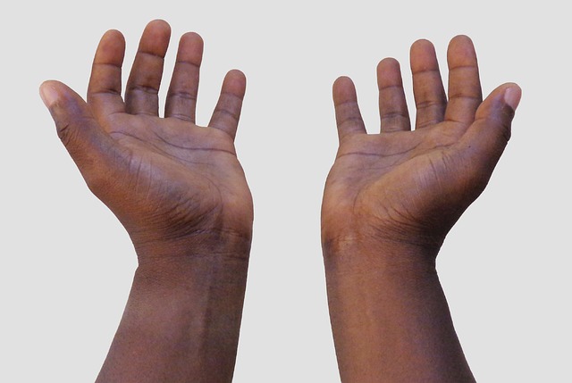 two hands opened out in a giving and/or receiving position