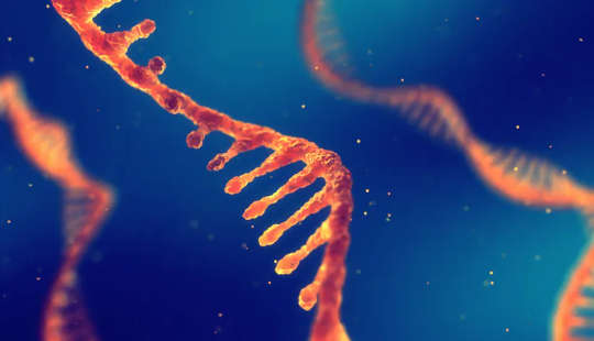 Jak jeden rodzaj RNA może być przyszłością leczenia raka?