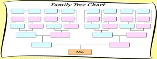 Finding Your Roots Family Tree Chart