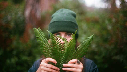 一個年輕人拿著一些蕨類植物，並用它們躲在後面