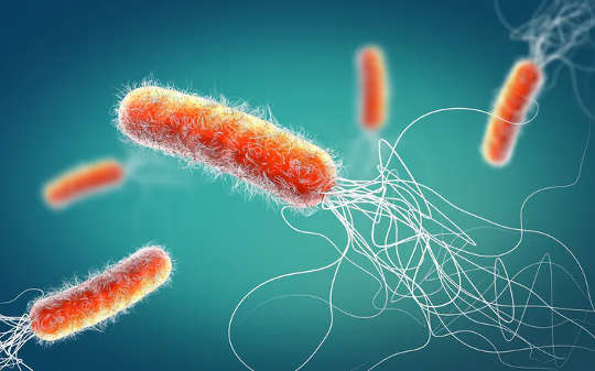 Bağışıklık Sistemimiz Antibiyotik Direnciyle Mücadelemize Nasıl Yardımcı Olur?
