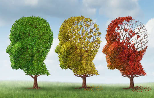 为什么我们不能治愈阿尔茨海默氏病？