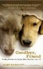 До свиданья, друг: Исцеление мудрости для тех, кто никогда не теряли Pet Гэри Ковальского.