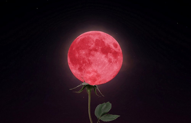 een artistieke weergave van een volle maan die op een bloemstengel "rust".