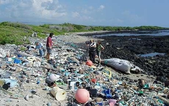 在海洋中，最有害的塑料是太小，看