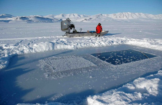 arctic ice thickness