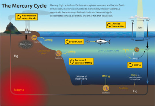 ciclo de mercúrio