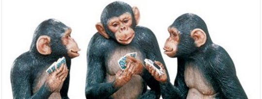 Glücksspiel-Affen glauben an Gewinnsträhne