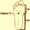 riñón descalzo 1 punto meridiano