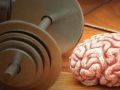 두뇌 훈련 및 운동 : 그것을 사용하거나 잃는다.