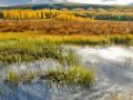 Wetlands Are One of the Smartest Investments We Can Make