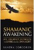 Shamanic Awakening: My Journey between the Dark and the Daylight van Sandra Corcoran.