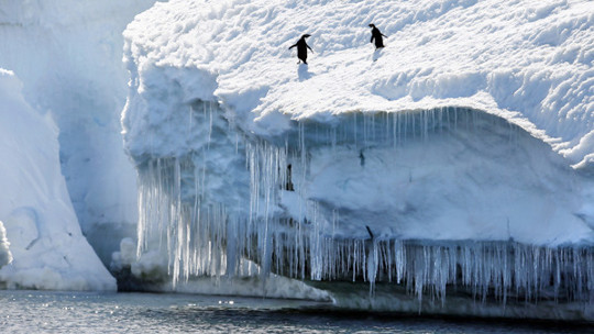 Questa regione, una volta stabile, antartica, ha improvvisamente iniziato a sciogliersi