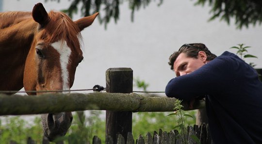 Spotkania z końmi: słyszenie szeptu koni