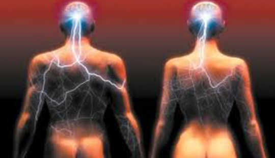 Là khoa học giả vờ cả hai giới có cùng một bộ não?