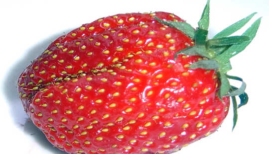 स्ट्रॉबेरी क्यों स्वाद तो अच्छा है?