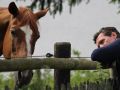 Equine Encounters: Hearing Die Pferde flüstern
