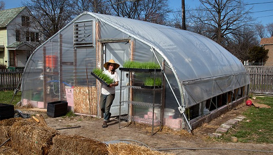 Urban Farming Is Booming, But What Does It Really Yield?
