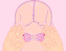 réflexologie - zones réflexes du cou