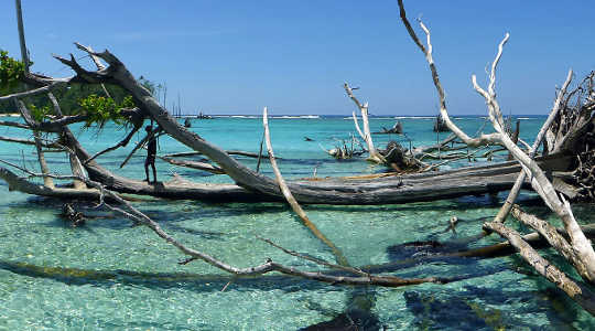 Meeresspiegelanstieg hat fünf ganze Inseln im Pazifik beansprucht