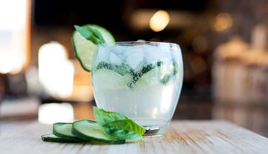 Hoe Cocktails getransformeerd zijn van drankjes naar afrodisiaca Ervaringen