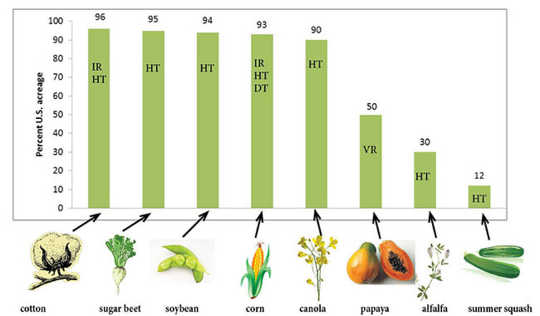Gentechnisch veränderte Pflanzen, die derzeit in den Vereinigten Staaten angebaut werden (IR = insektenresistent, HT = herbizidtolerant, DT = trockenheitstolerant, VR = virusresistent). Colorado State Universitätserweiterung