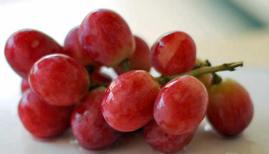 grapes 10 26