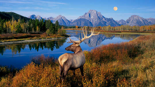 More Than A Beauty Queen Our National Parks Preserve Our History And Culture
