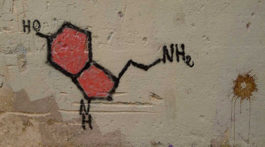 5-羥色胺能讓你成為更好的人嗎？ XavierBéjar/ Flickr，CC BY-SA