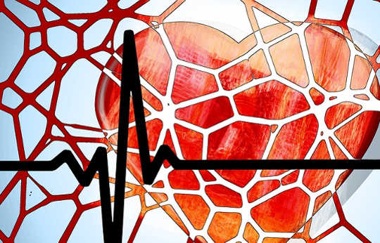 Czy nasz układ odpornościowy naprawdę może powodować choroby serca?