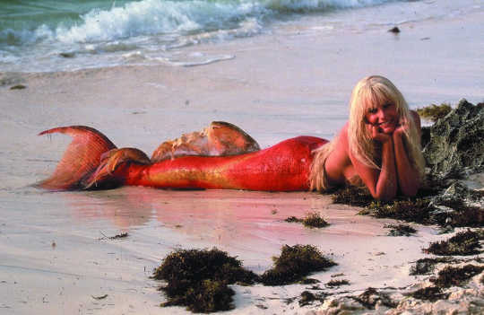 Why We Can't Resist The Lure Of Mermaids