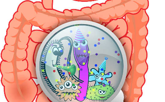 你體內的寄生蟲可以保護你免受疾病的侵害
