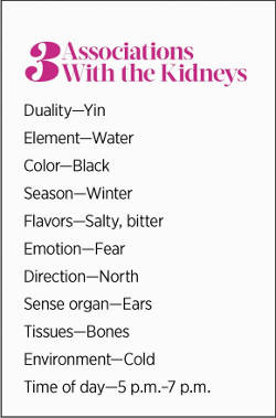 associated with kidneys 