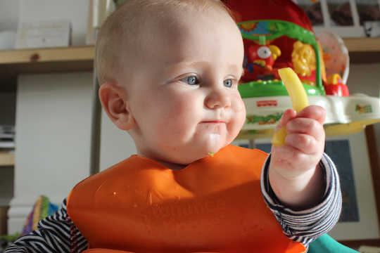 Apakah sendok makan membuat bayi kelebihan berat badan?