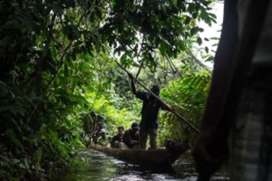 Hvordan vi opdagede verdens største tropiske tørveland dybt inde i Jungles Kongo