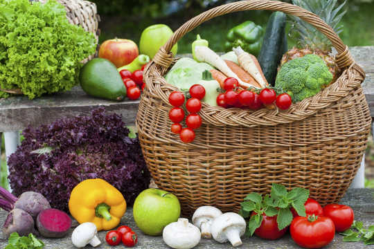 열 가지의 과일을 먹고 하루를 채식해야합니까?