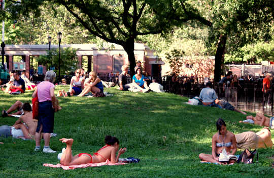 纽约市汤普金斯广场公园的中央山丘，人们享受日光浴和放松身心。