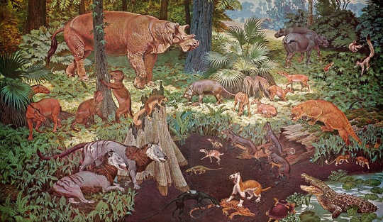 Vida no último período de estufa do planeta, o Eoceno. Jay Matternes / Museu Smithsonian, CC BY