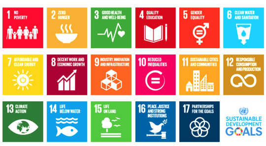 UN Sustainable Development Goals. UNDP, CC BY