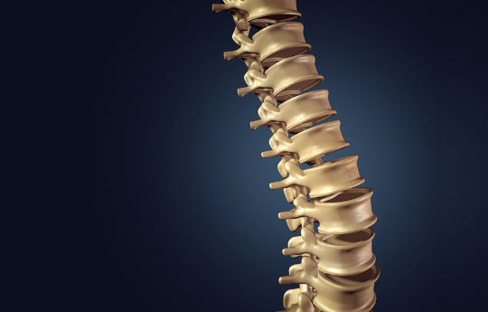 避免背部疼痛的最佳方法是解除重物