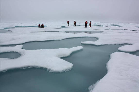 Scienziati sul ghiaccio marino artico nel mare di Chukchi, circondato da stagni di fusione, luglio 4, 2010.