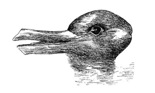 Zie je een eend of een konijn: wat is aspect perceptie precies?