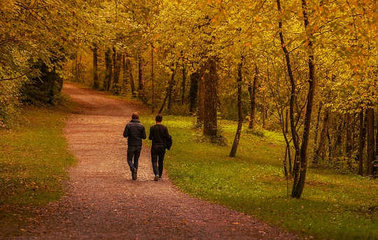 Varför En promenad i skogen verkligen hjälper din kropp och din själ