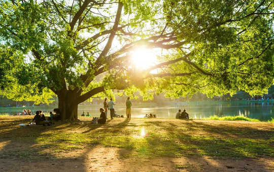 פארק אנדקליף, שפילד: מרחב משקם וחברתי. (כיצד מרחבים ירוקים עוזרים להילחם בבדידות)
