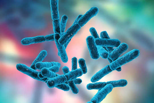 使用益生菌和益生元来治疗疾病是否安全？