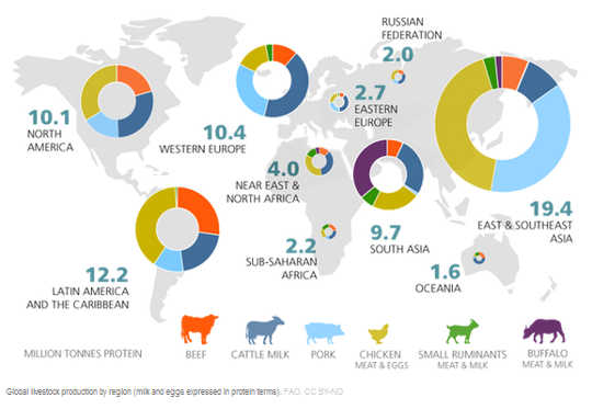Sì, mangiare carne influenza l'ambiente, ma le mucche non uccidono il clima