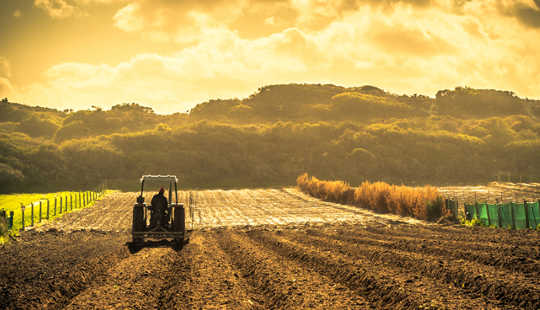 气候变化将如何重塑世界农业贸易