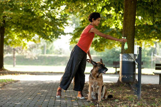 你应该堆肥你的狗的便便吗？