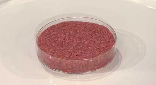 ¿Comerías carne cultivada de un laboratorio?