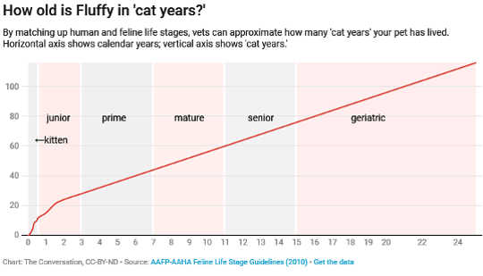 Kuinka vanha on lemmikkini koiravuosina tai kissa-vuosina?